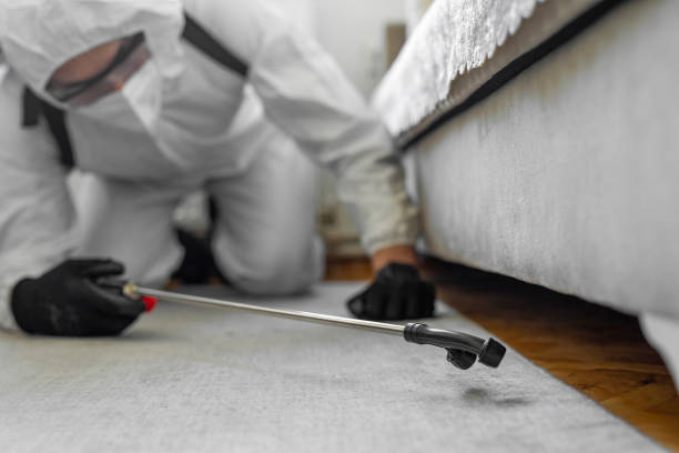 Professional Pest Control technician working in Randolph, WI