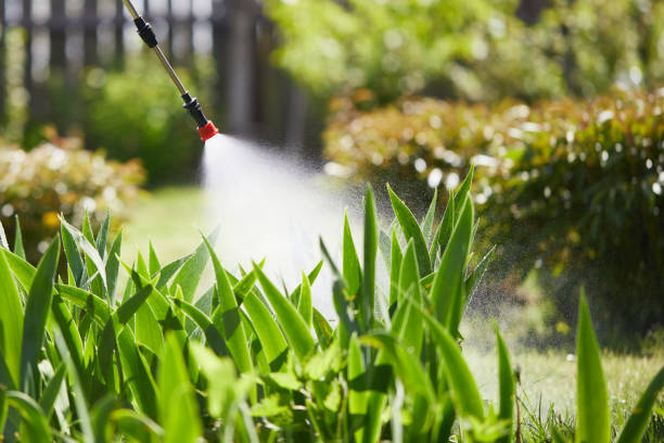 24/7 Emergency Pest Control experts in Randolph, WI